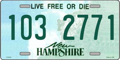 NH license plate 1032771