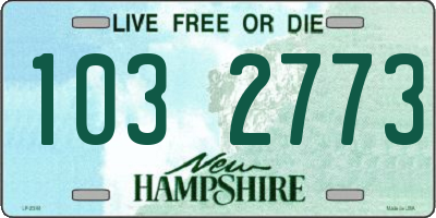 NH license plate 1032773
