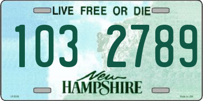 NH license plate 1032789