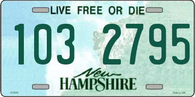 NH license plate 1032795