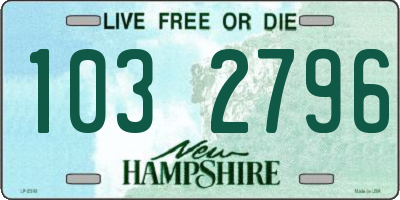 NH license plate 1032796