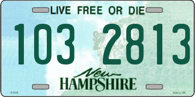 NH license plate 1032813