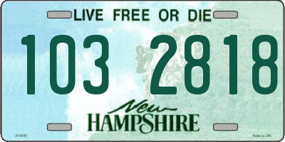 NH license plate 1032818