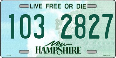 NH license plate 1032827
