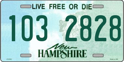 NH license plate 1032828