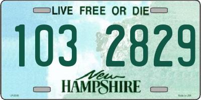 NH license plate 1032829
