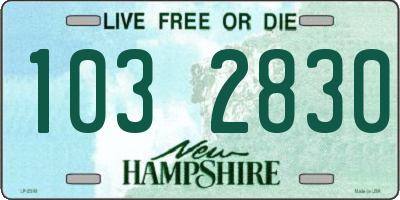 NH license plate 1032830
