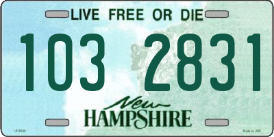 NH license plate 1032831