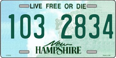 NH license plate 1032834