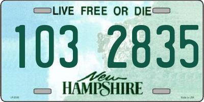 NH license plate 1032835