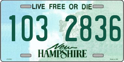 NH license plate 1032836