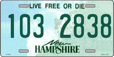 NH license plate 1032838