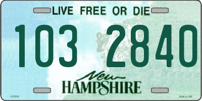 NH license plate 1032840