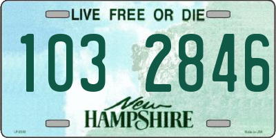 NH license plate 1032846