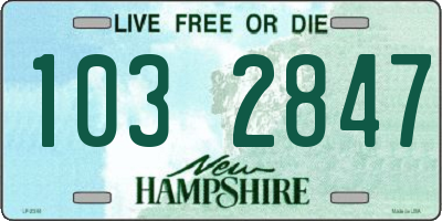 NH license plate 1032847