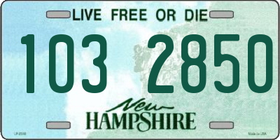 NH license plate 1032850
