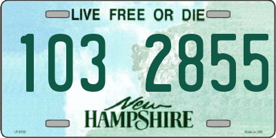 NH license plate 1032855