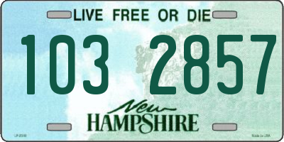 NH license plate 1032857