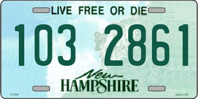 NH license plate 1032861