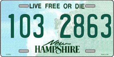 NH license plate 1032863