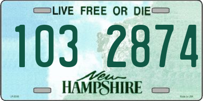 NH license plate 1032874