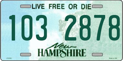 NH license plate 1032878