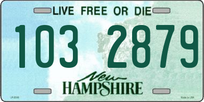NH license plate 1032879
