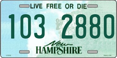 NH license plate 1032880