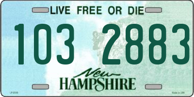 NH license plate 1032883
