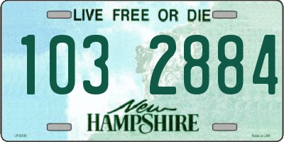 NH license plate 1032884