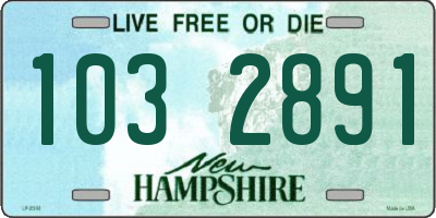 NH license plate 1032891