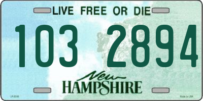 NH license plate 1032894