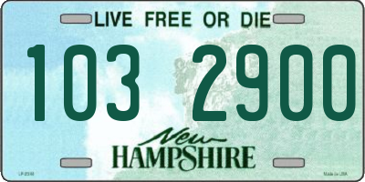 NH license plate 1032900
