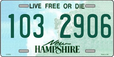 NH license plate 1032906