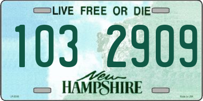 NH license plate 1032909