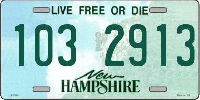 NH license plate 1032913