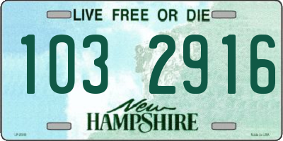 NH license plate 1032916