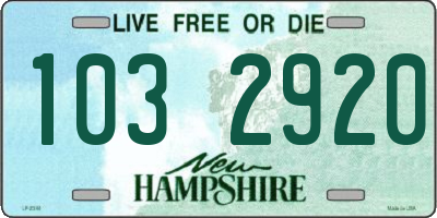 NH license plate 1032920