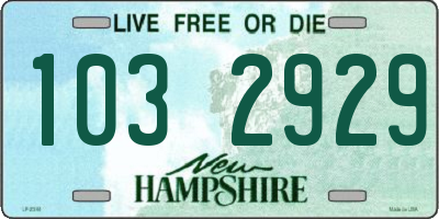 NH license plate 1032929
