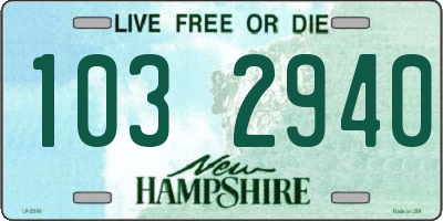 NH license plate 1032940