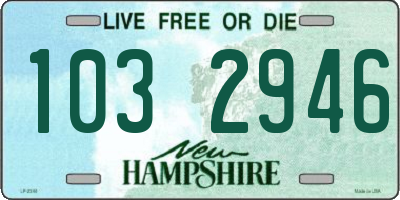 NH license plate 1032946