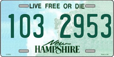 NH license plate 1032953