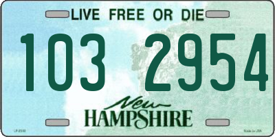 NH license plate 1032954