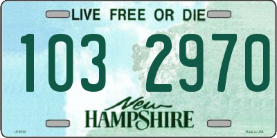 NH license plate 1032970