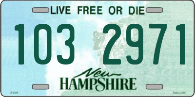NH license plate 1032971
