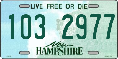 NH license plate 1032977