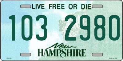 NH license plate 1032980