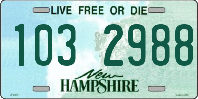 NH license plate 1032988