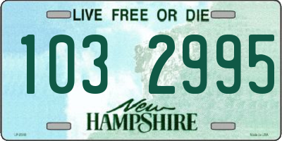 NH license plate 1032995