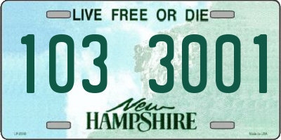 NH license plate 1033001